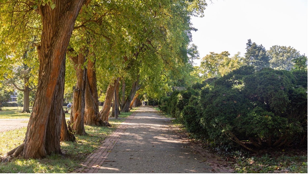 Montrose Park
