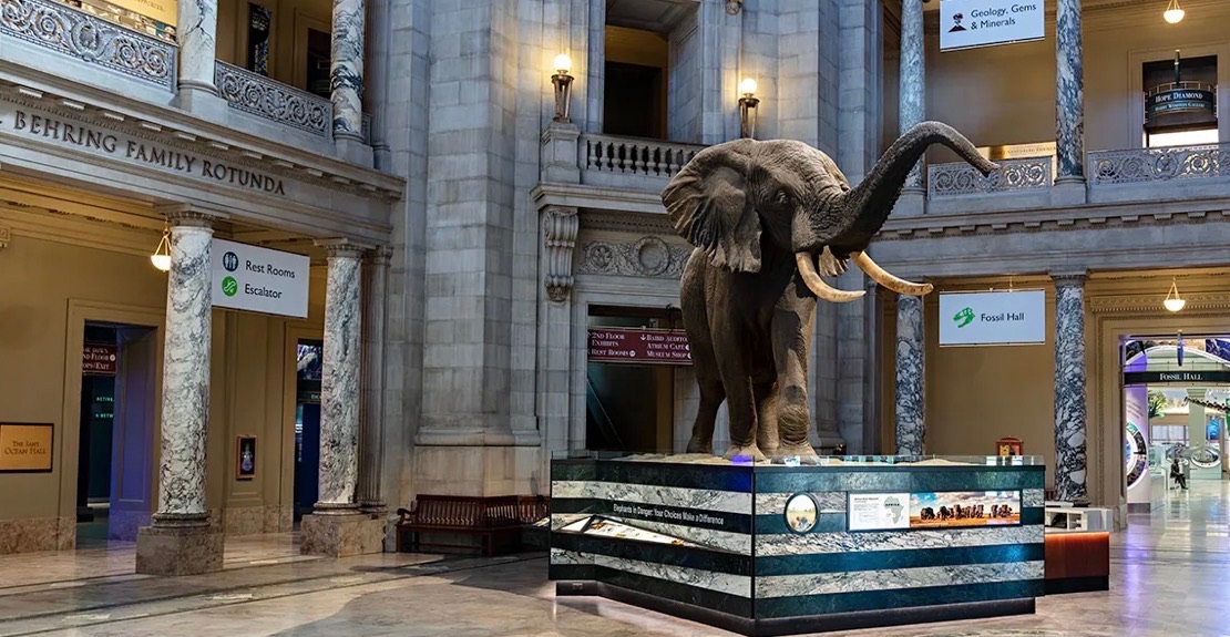 Smithsonian National Museum of Natural History