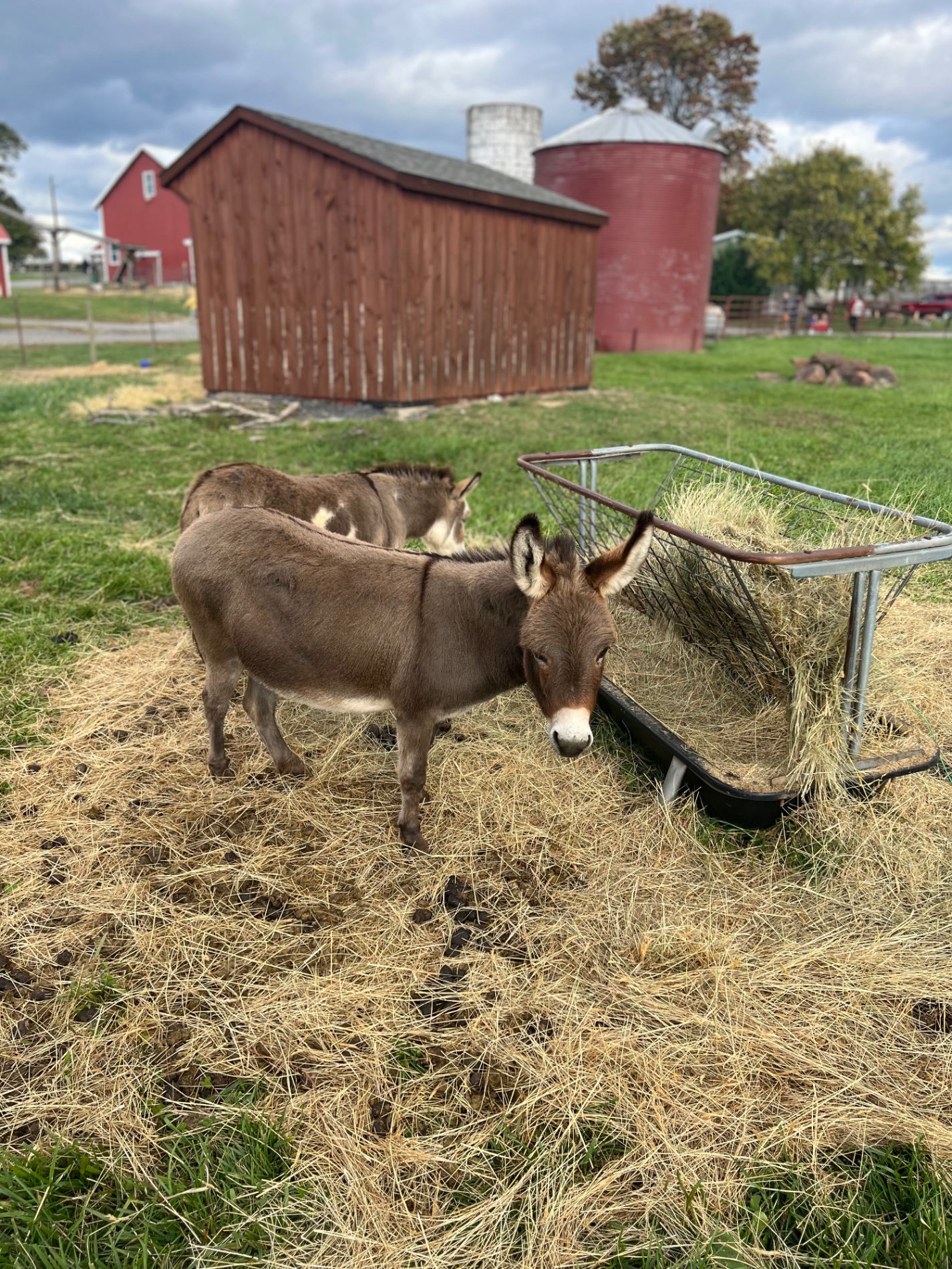 Homestead Farm