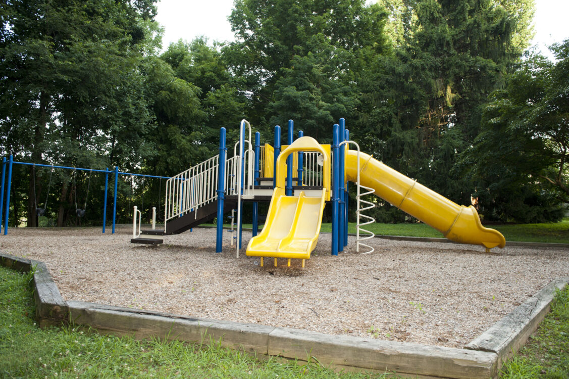 Georgian Forest Local Park