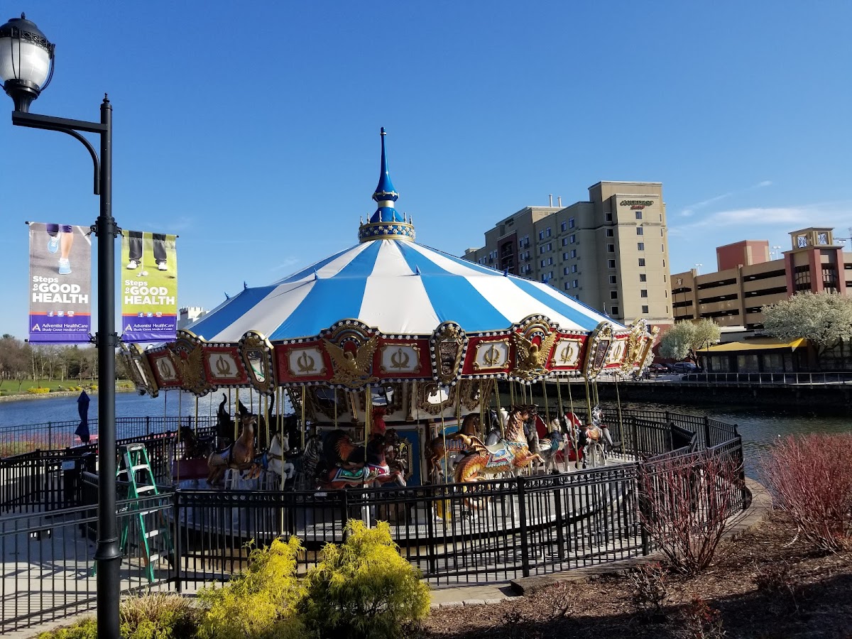 Carousel at RIO Washingtonian