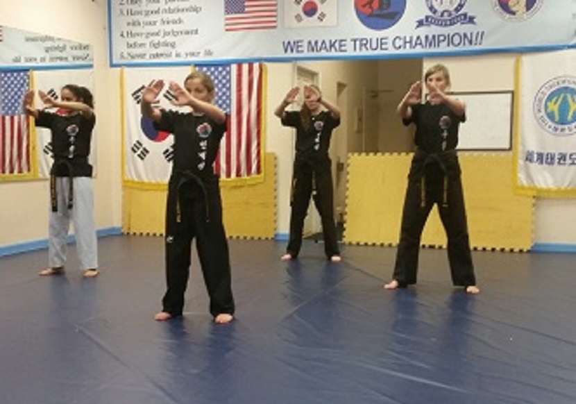 Champion Karate Center - Germantown