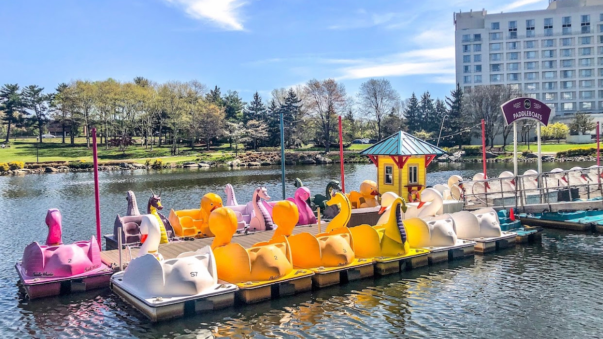RIO Paddle Boats